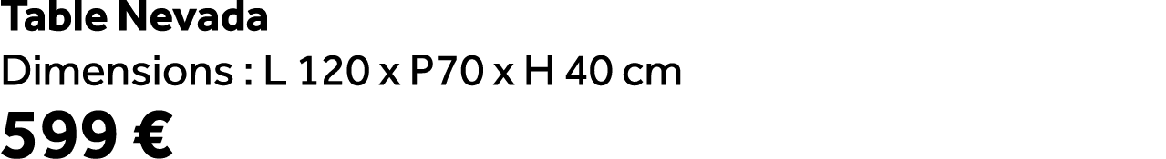 Table Nevada Dimensions : L 120 x P70 x H 40 cm 599 €