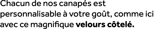 Chacun de nos canap s est personnalisable  votre go t, comme ici avec ce magnifique velours c tel .