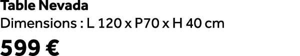Table Nevada Dimensions : L 120 x P70 x H 40 cm 599 €