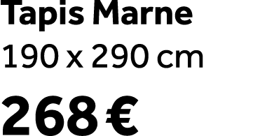 Tapis Marne 190 x 290 cm 268 € 