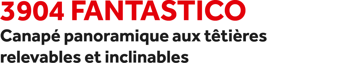 3904 Fantastico Canap panoramique aux t ti res relevables et inclinables