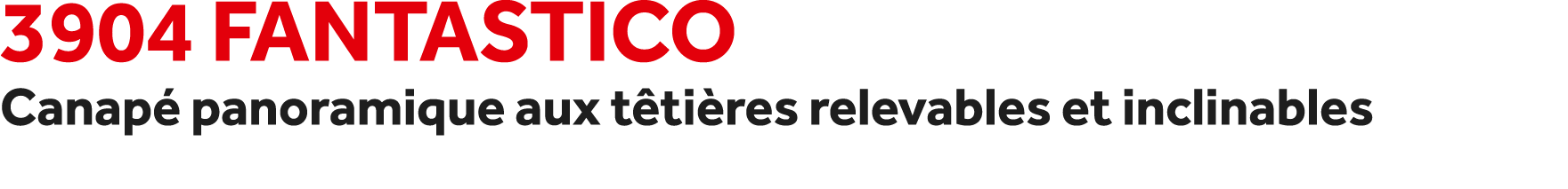 3904 Fantastico Canap panoramique aux t ti res relevables et inclinables