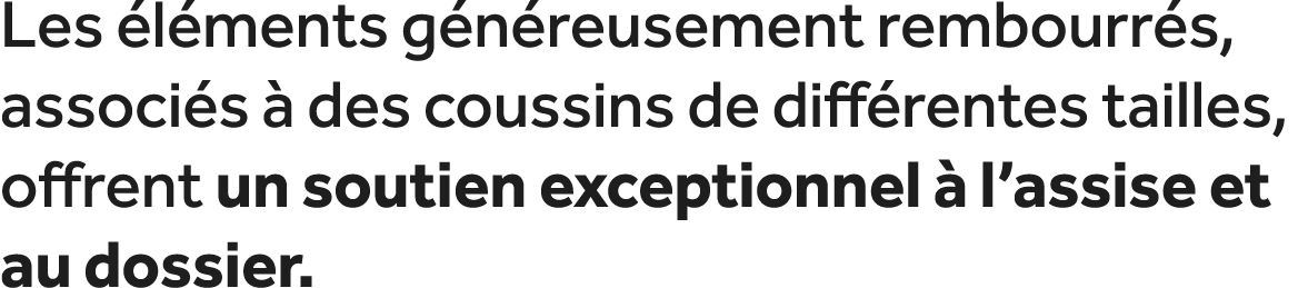 Les l ments g n reusement rembourr s, associ s   des coussins de diff rentes tailles, offrent un soutien exceptionne...
