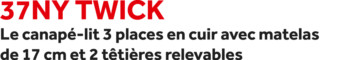 37NY Twick Le canap lit 3 places en cuir avec matelas de 17 cm et 2 t ti res relevables