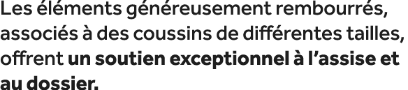 Les l ments g n reusement rembourr s, associ s   des coussins de diff rentes tailles, offrent un soutien exceptionne...