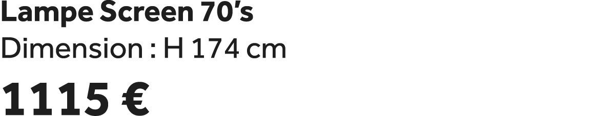 Lampe Screen 70’s Dimension : H 174 cm 1115 €
